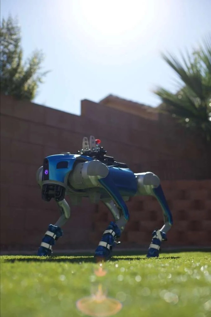 Gus the blue robot dog standing on grass